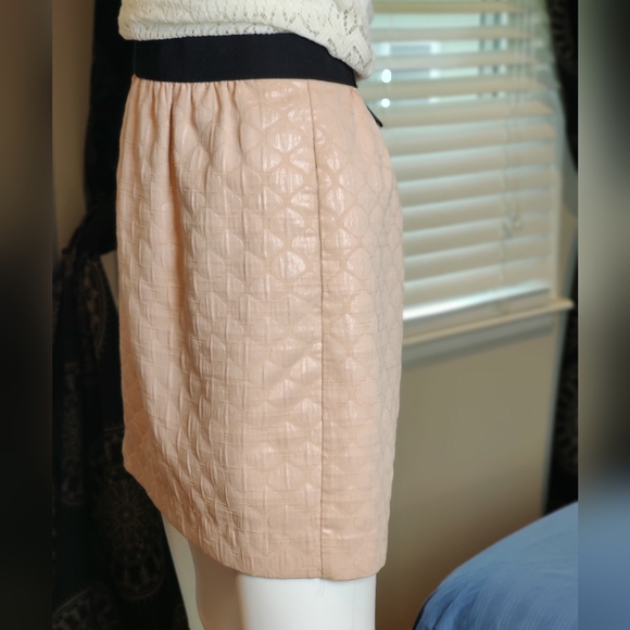Ann Taylor Loft Pale Pink Embossed Skirt Size 6 - Picture 5 of 14